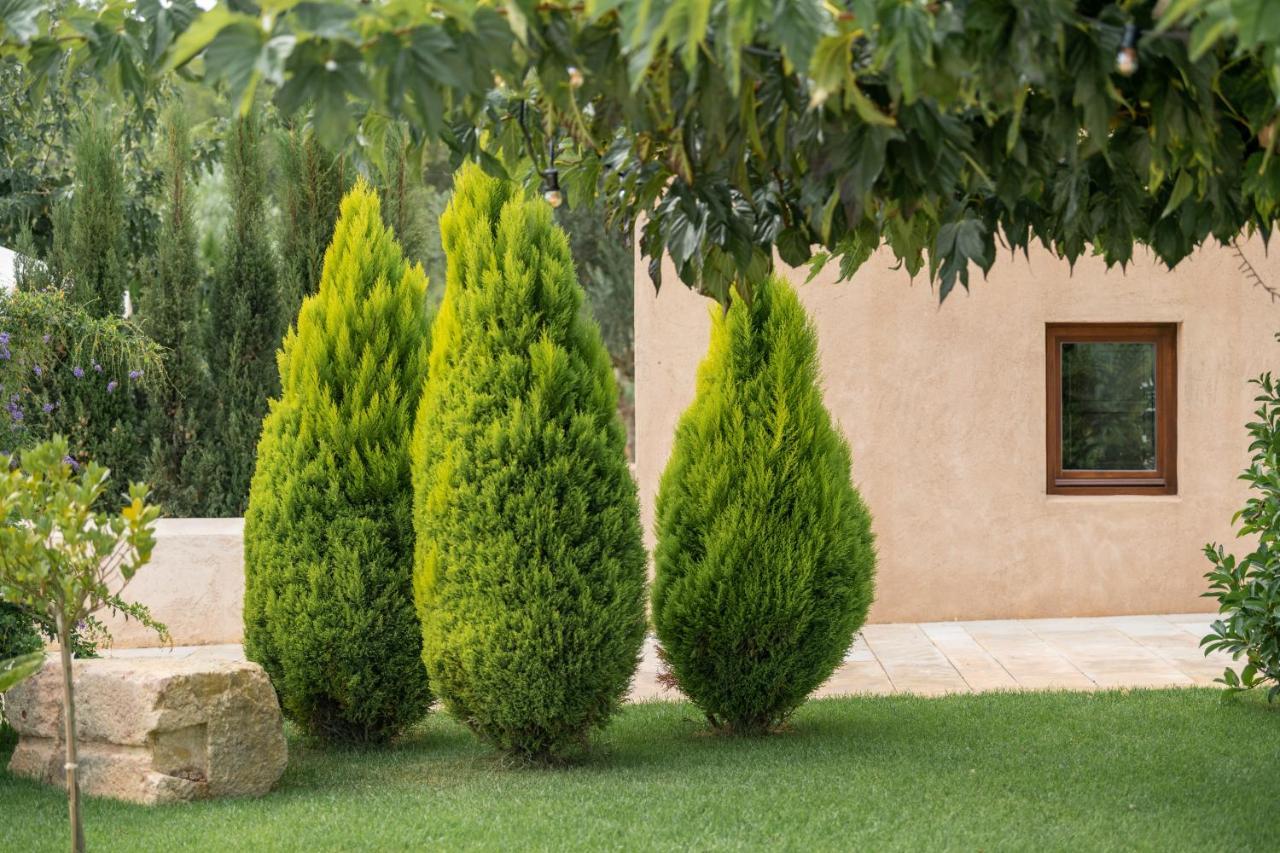 Agroturismo Safragell Ibiza Suites & Spa Làng Sant Llorenç de Balafia Ngoại thất bức ảnh