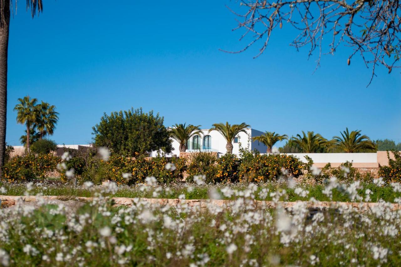 Agroturismo Safragell Ibiza Suites & Spa Làng Sant Llorenç de Balafia Ngoại thất bức ảnh